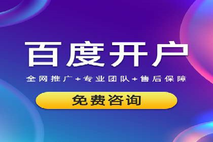 专业SEM代运营公司案例分析